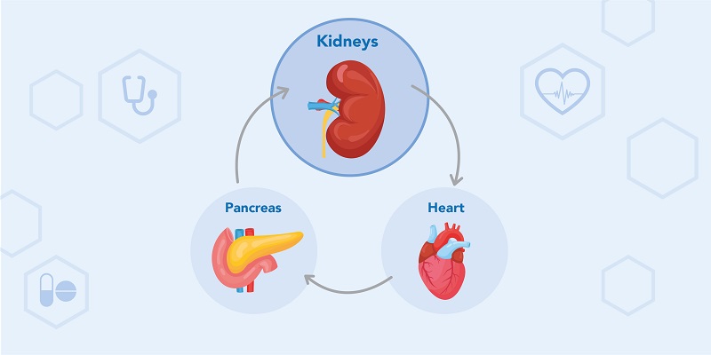 Heart failure and the Cardiovascular, Renal, Metabolism (CVRM)