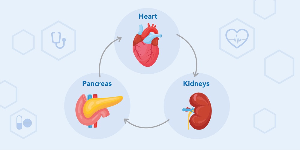 Heart failure and the Cardiovascular, Renal, Metabolism (CVRM)